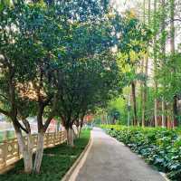 曉港公園~城市中的綠化地帶
