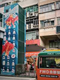 哇！太子金魚街，藏在香港的夢幻水族世界？