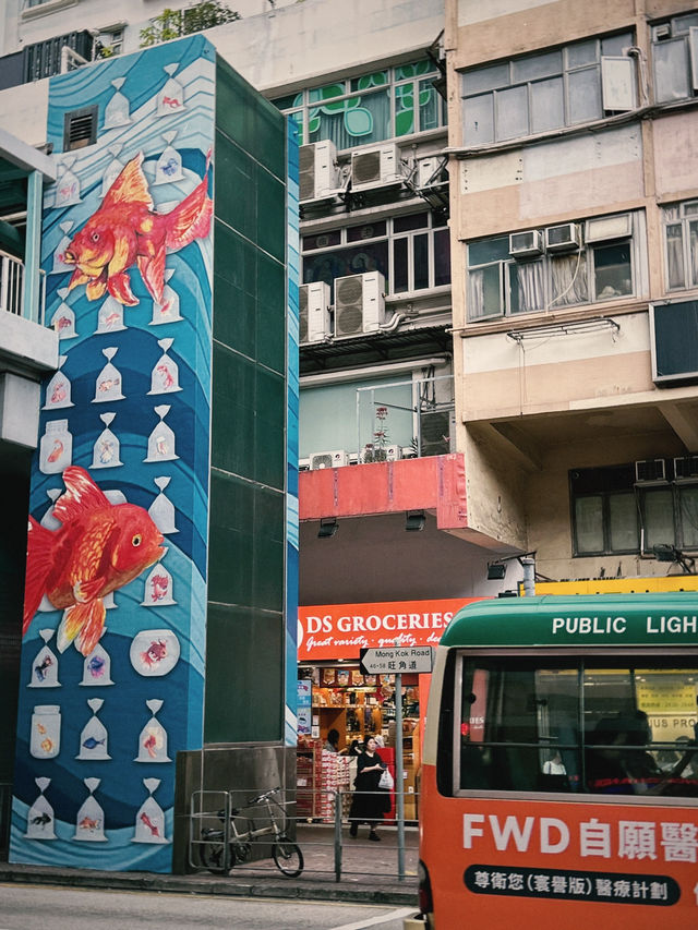 哇！太子金魚街，藏在香港的夢幻水族世界？