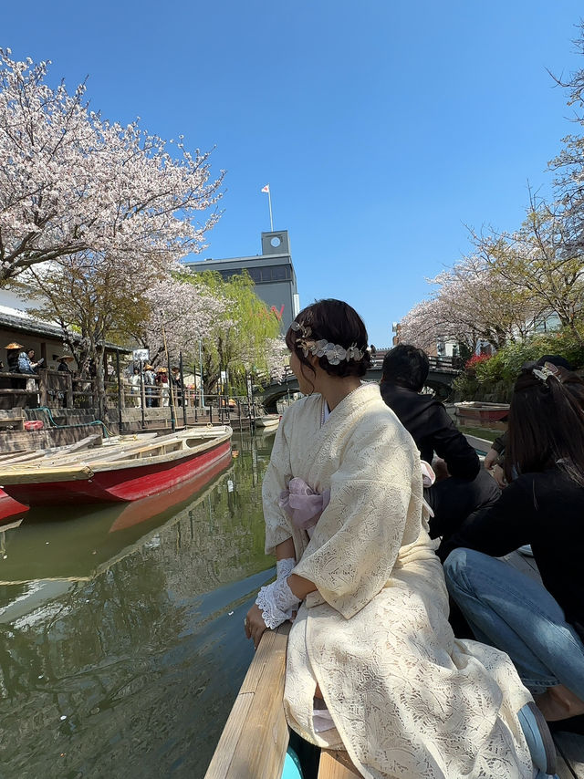 柳川🇯🇵北九州河川櫻花小鎮🌸