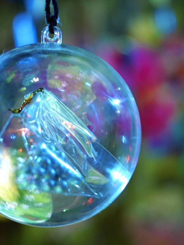 【長崎×ハウステンボス】映えるカフェ 幻想的な写真を撮りまくり！