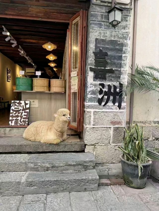 The Quiet Soul of Yunnan: Discovering Xizhou