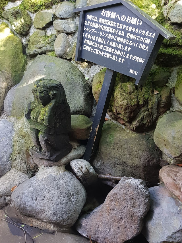 남들이 보면 미쳤다고 할 구로카와 온천에서의 6박 7일 온천여행 ♨️ お宿 のし湯 ♨️ 오야도 노시유