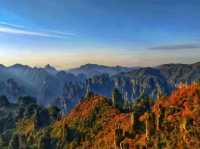 Autumn Magic in Zhangjiajie: A Peaceful Escape into Nature's Colors