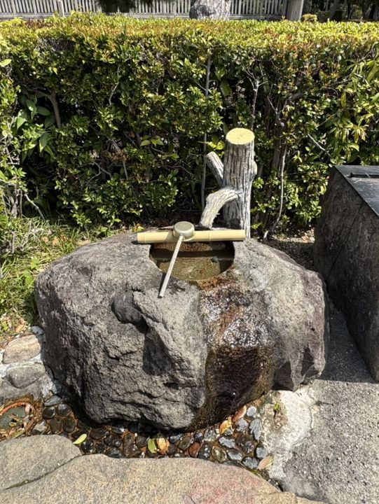 「大仙古墳で感じる静かな永遠⛰️⛩️」