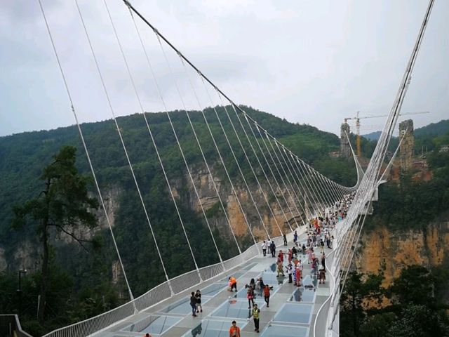 Stunning view relaxed at Zhangjiajie Grand Canyon Glass Bridge