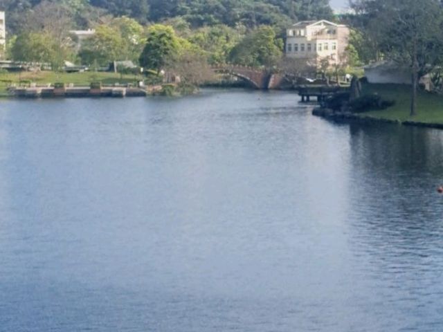 龍潭大池踩船賞美景