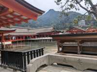 【広島】嚴島神社で海に浮かぶ鳥居を見る！