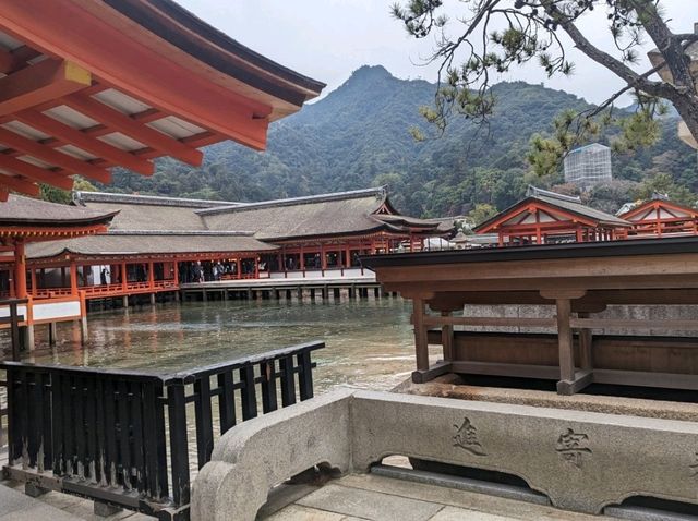 【広島】嚴島神社で海に浮かぶ鳥居を見る！