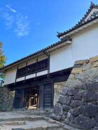 ひこにゃんで有名なお城🏯国宝 彦根城に行ってきた！