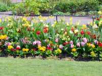 Experience the Best of London in Hyde Park's Scenic Surroundings