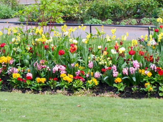 Experience the Best of London in Hyde Park's Scenic Surroundings