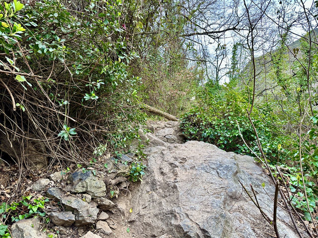 法國秘境🇫🇷藏在庇里牛斯山的D66公路：我們找到野溪溫泉了！