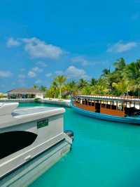 Maldives Bliss: Where Every Moment Feels Like Magic