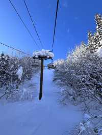 【長野県/白馬】湖を眺めながらスノボができるスキー場⛷️