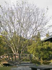 Taman Jepun (Japanese Garden) in Ipoh: A Serene Retreat