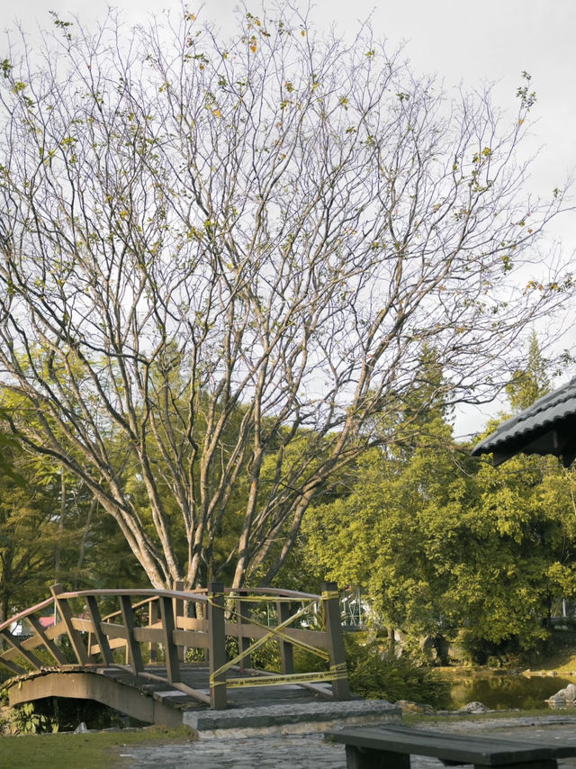 Taman Jepun (Japanese Garden) in Ipoh: A Serene Retreat