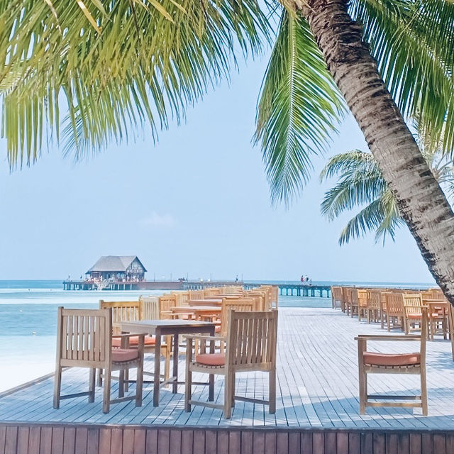 🌴Sun Siyam Olhuveli: A Luxurious Island Retreat