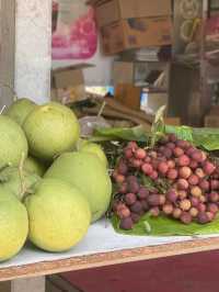 สวนลิ้นจี่200ปี (พันธุ์ค่อม)