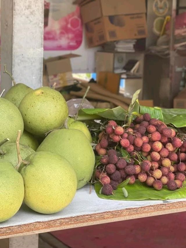 สวนลิ้นจี่200ปี (พันธุ์ค่อม)