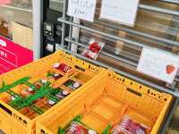 去淡路島一定不可錯過的小店