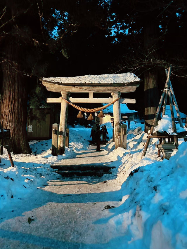 【世界遺産🌎白川郷】1度は訪れたい！年4回のライトアップ✨