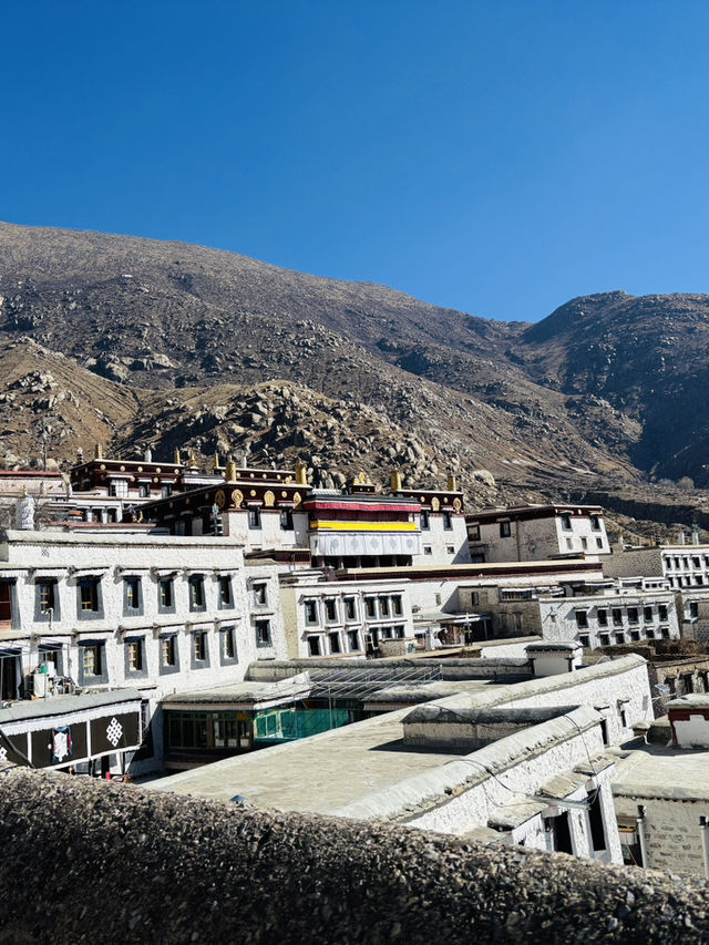 Am I Still on Earth? A Springtime Walk Through Drepung Monastery Feels Otherworldly!