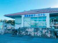 【沖縄　竹富島】ここは天国？1年中楽しめる竹富島