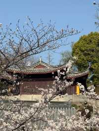 “Petals and Prayers: The Sacred Bloom of Jiming Temple”