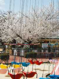 Blossoms and Beasts: Springtime Splendor at Kobe Oji Zoo