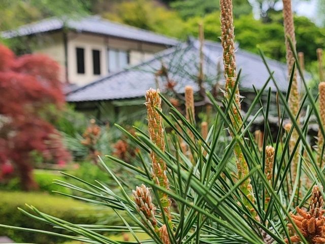 Choju-ji Temple: Kamakura’s Hidden Sanctuary