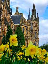 The Iconic Tower of the University of Glasgow 🏰✨📚🌳🌤️