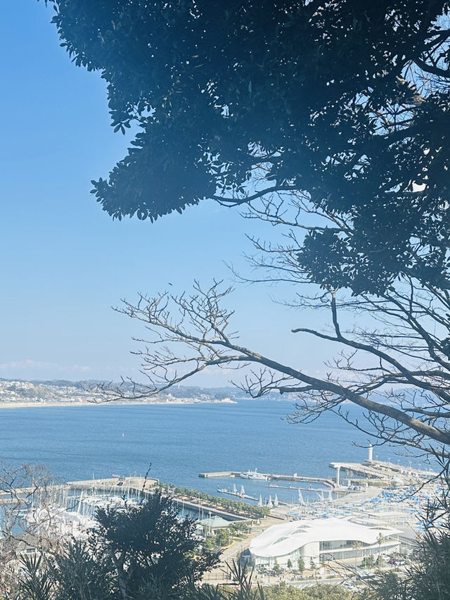 【 江ノ島観光 】 湘南の絶景を堪能🏝️✨