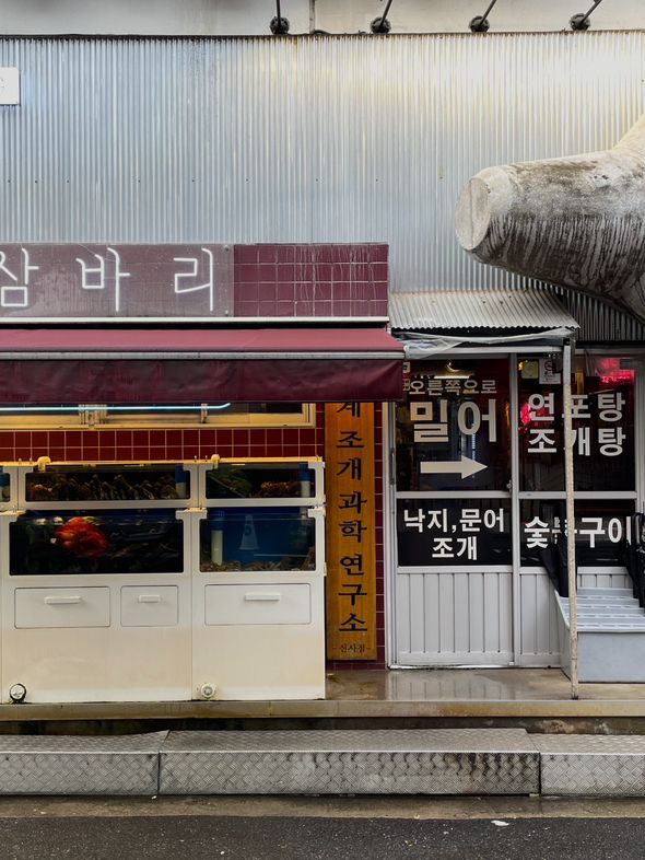 가로수길 조개구이 맛집 삼바히 후기 🐚🔥