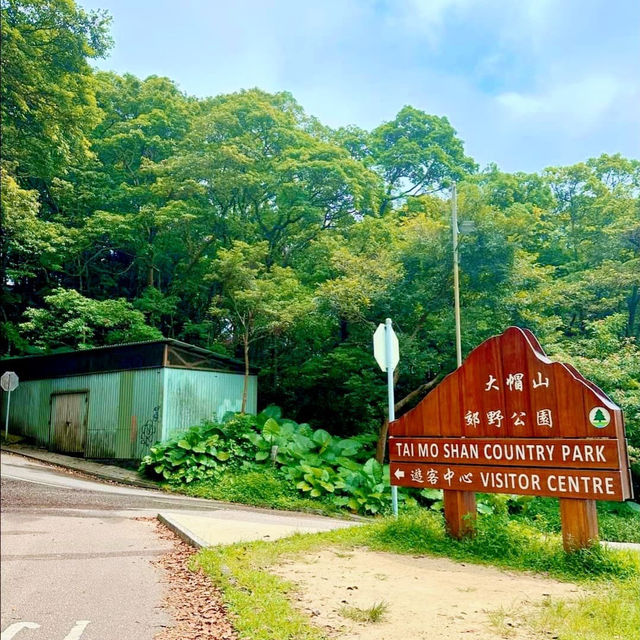 Touching the Clouds: Hiking Tai Mo Shan, Hong Kong’s Highest Peak 