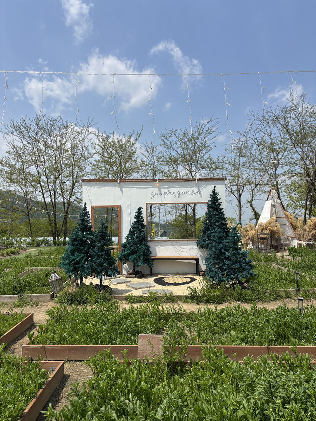 2000평 규모의 정원이 있어 구경하기 좋은 원주카페🌳