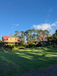 NZ “walk”-venture 01