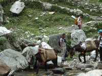 Dodital Trek—Hiking in Himalaya for the first time!