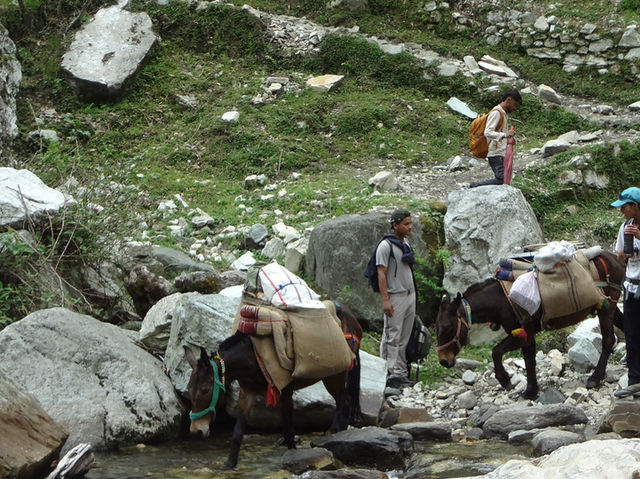 Dodital Trek—Hiking in Himalaya for the first time!