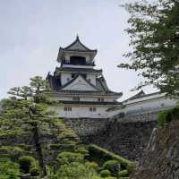 Kochi Castle: A Timeless Beauty