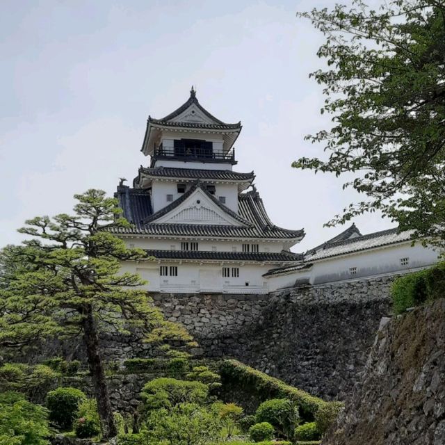 Kochi Castle: A Timeless Beauty
