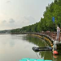 เดิน🚶ชิล ธรรมชาติ @ป่าในเมืองระยอง