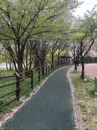 🚶‍♀️🚶 잔잔한 물결 따라 걷는 여유, 청주 오송호수공원 산책 데이트 추천해요🍀🫶🏻