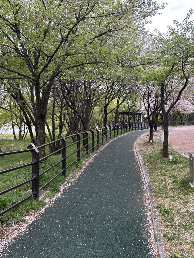 🚶‍♀️🚶 잔잔한 물결 따라 걷는 여유, 청주 오송호수공원 산책 데이트 추천해요🍀🫶🏻