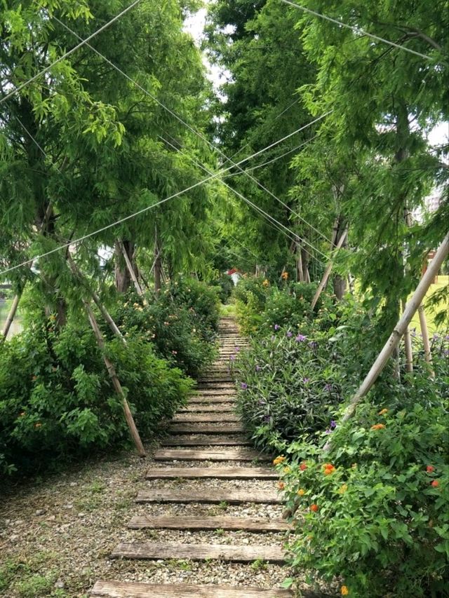 #皇家薇庭-桃園市桃園區