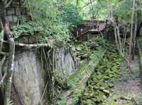 【Beng Mealea｜ベンメリア】 崩れかけたままが美しい。“ラピュタ感”全開の幻の遺跡