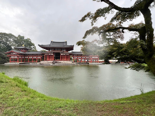 宇治抹茶