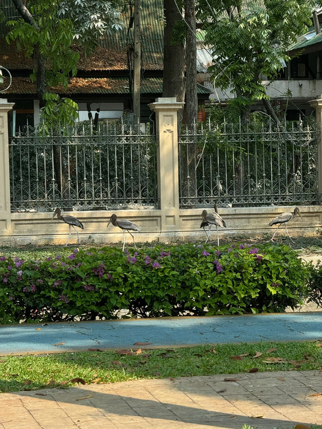 ชวนมานอนพักใจพักสายตาที่สวนป้อมพระสุเมรุ! 
