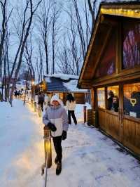 Frozen Beauty & Fairy Lights: Winter Road Trip from Asahikawa to Biei & Furano