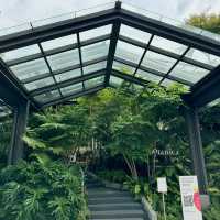 Nature’s Elegance at Botanica+Co